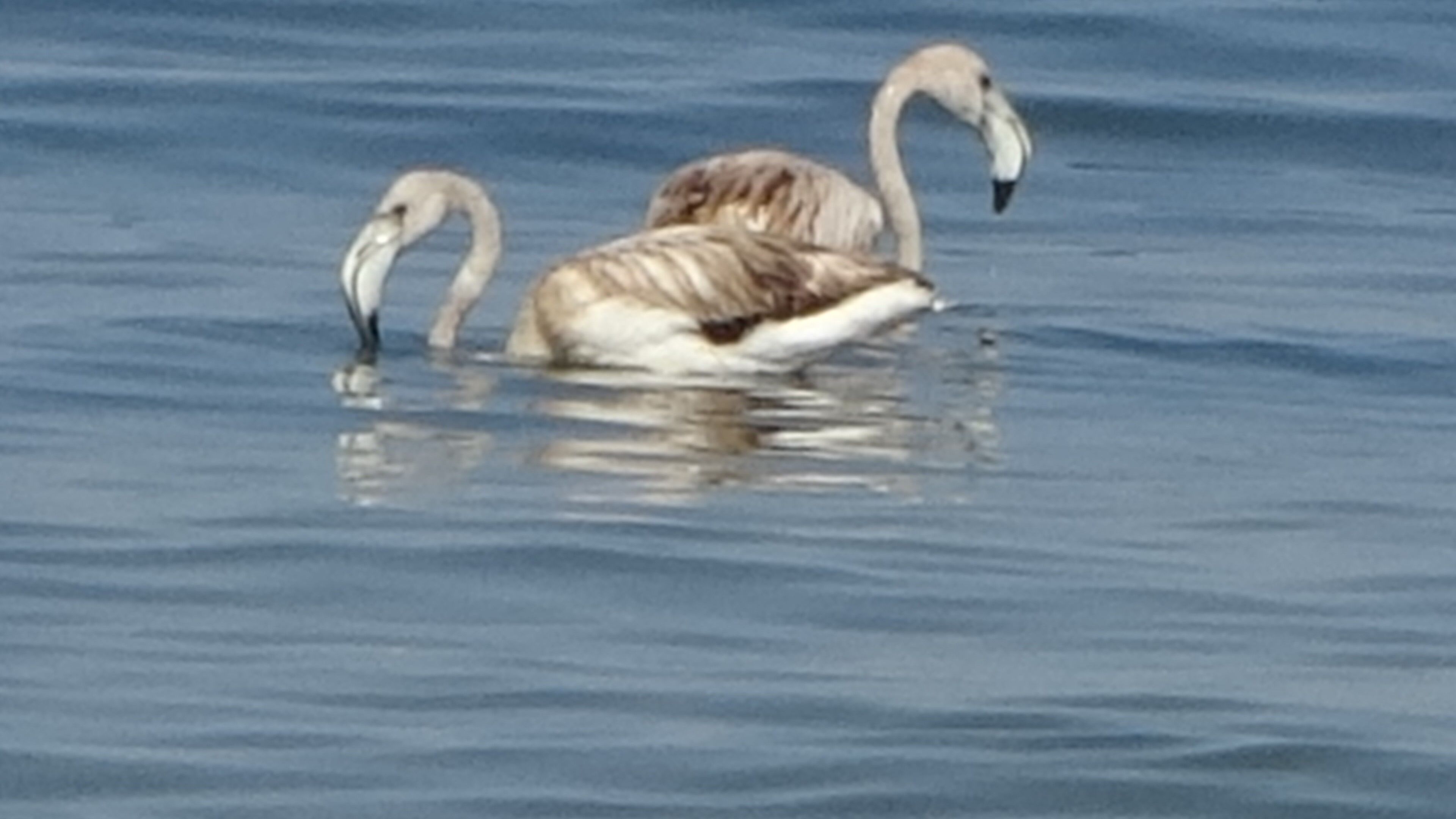 A W548765 02