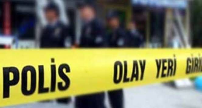 Polis