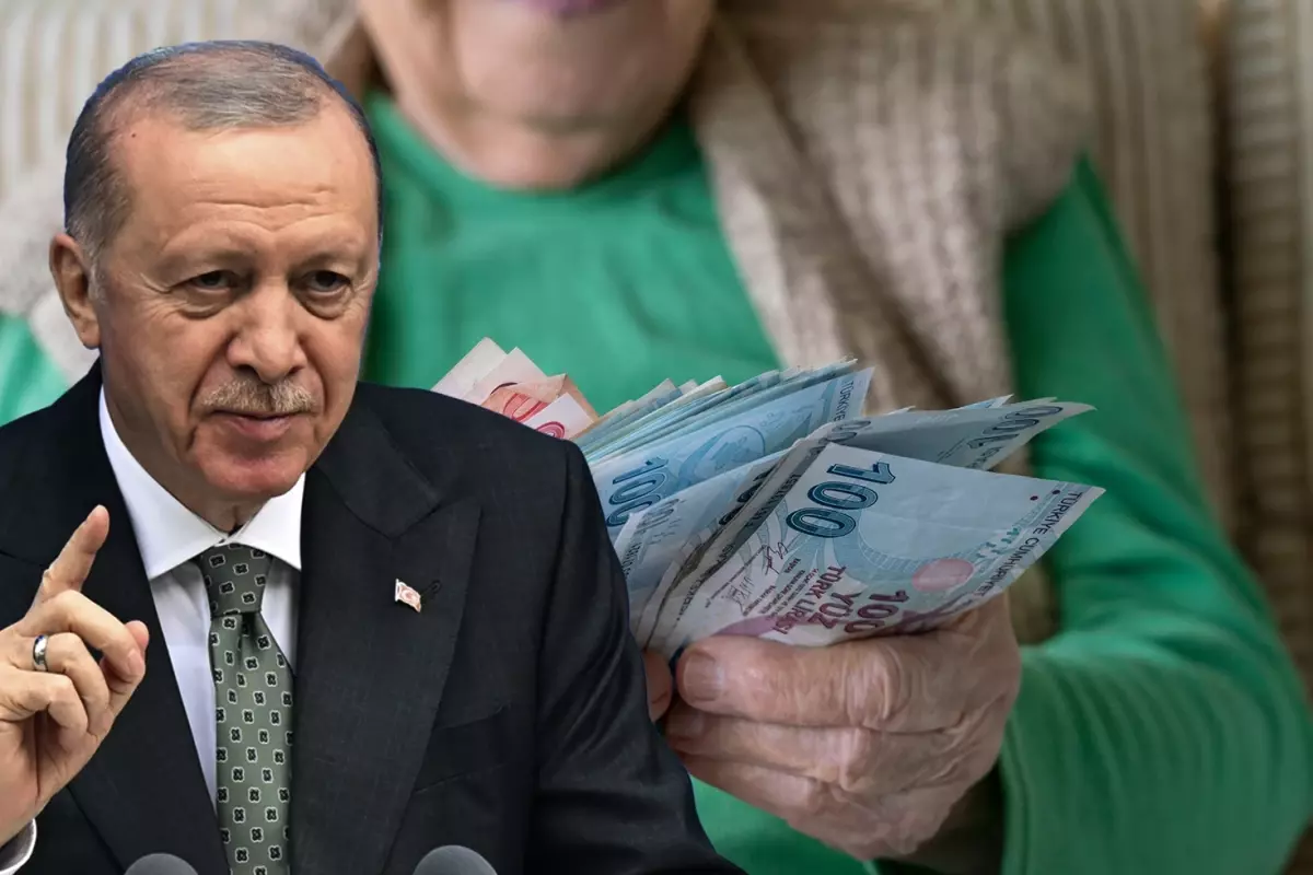 Cumhurbaskani Erdogan Mujdeyi Vermisti Dugmeye 19169908 2963 Amp