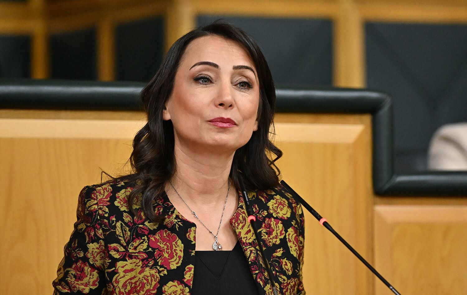 Hatimoğulları