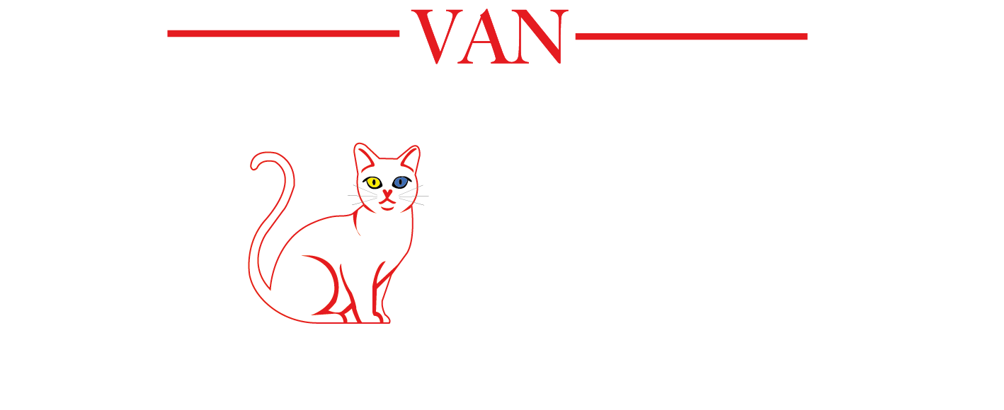 Van Haber | Van Son Dakika Haberleri | Van Bölge Gazetesi