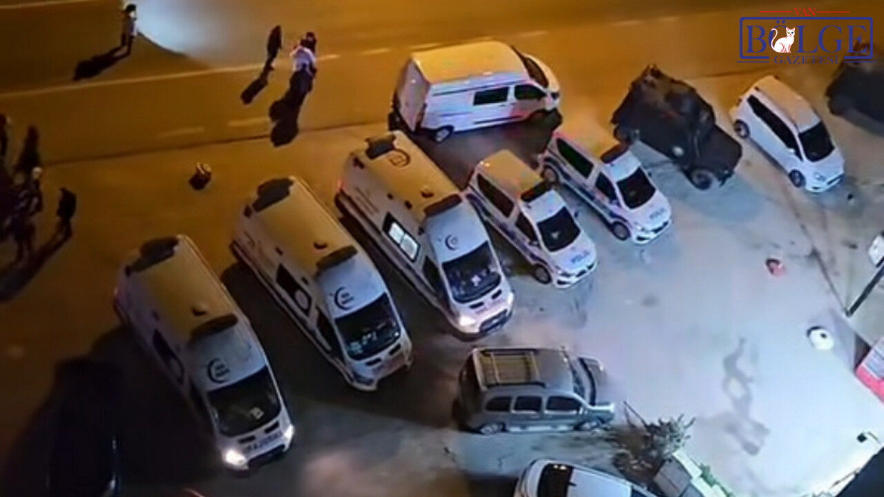 Diyarbakir Kadin Siddet 1 001 001