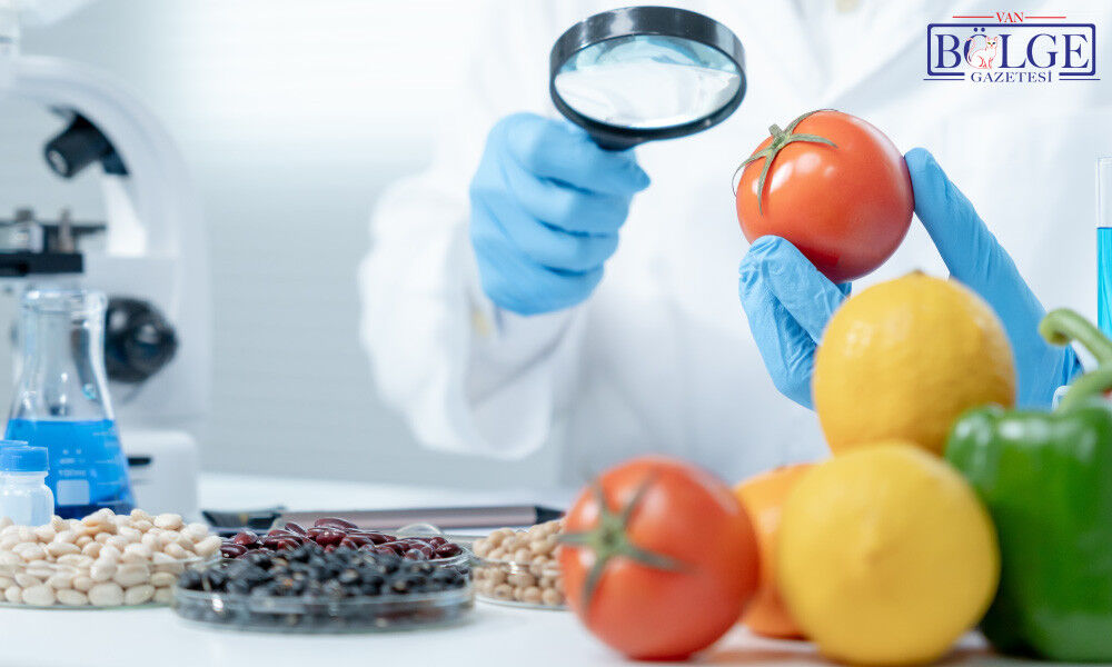 Food Safety