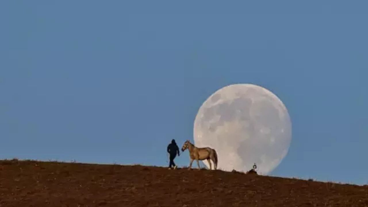 Van'daki O Görüntü Olay Oldu! Milyonlar Paylaşıyor.-2