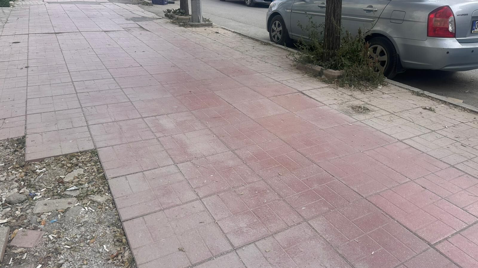 Whatsapp Görsel 2025 11 11 Saat 16.50.04 E4E7F9D2