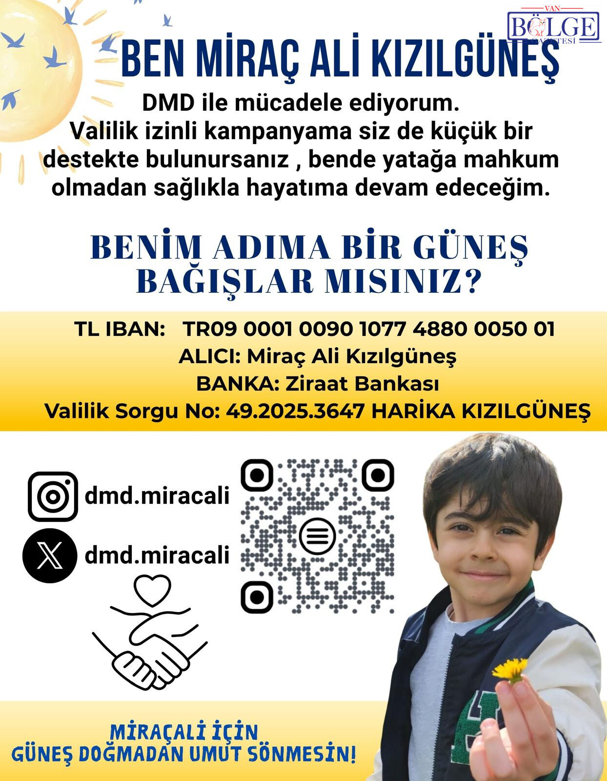 D M M