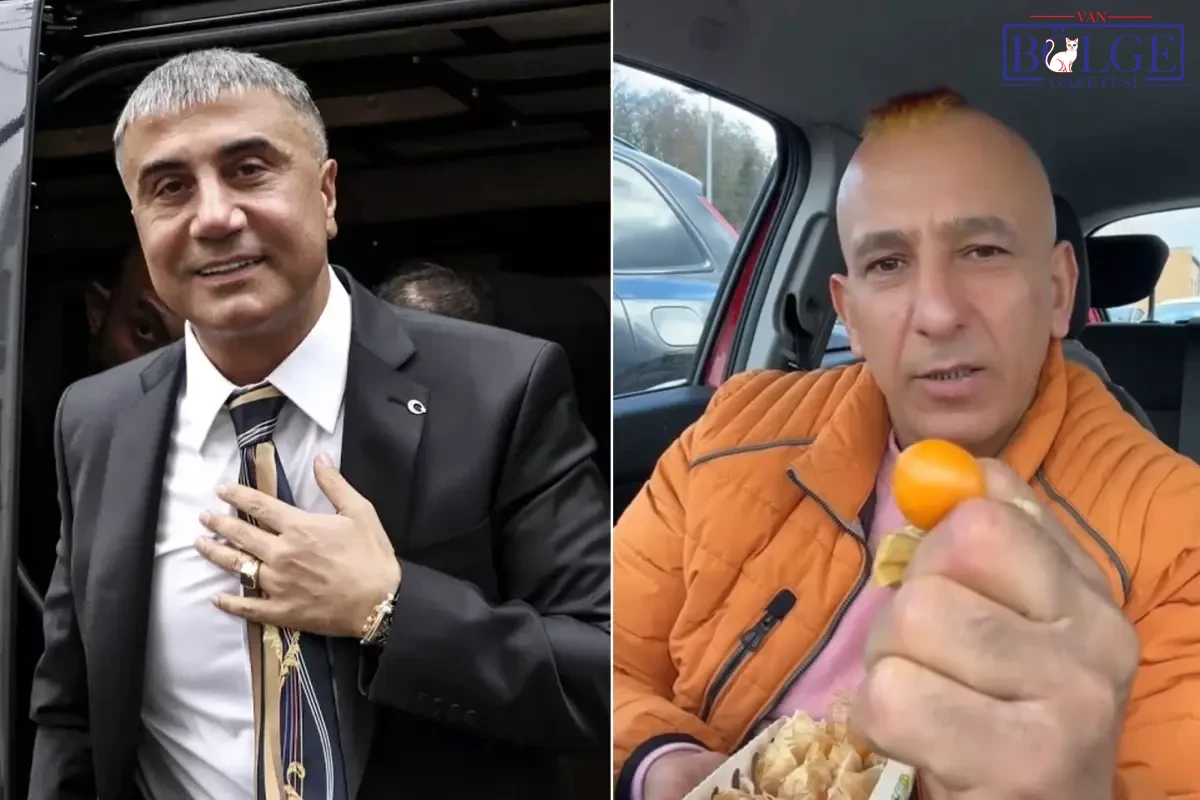 Sedat Peker E Hakaret Eden Tiktok Fenomeni 19378541 3413 Amp