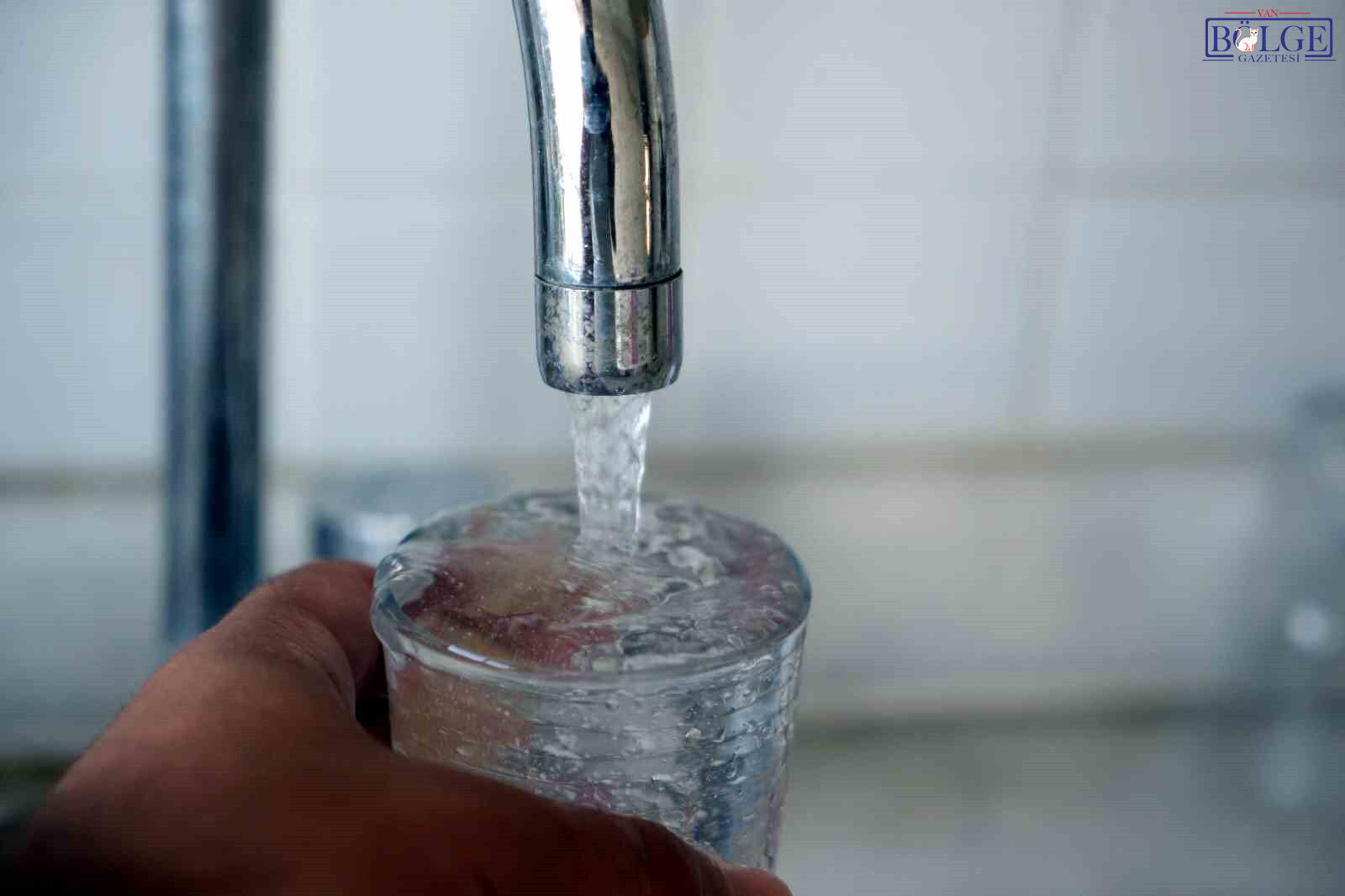 20240801Aw258757