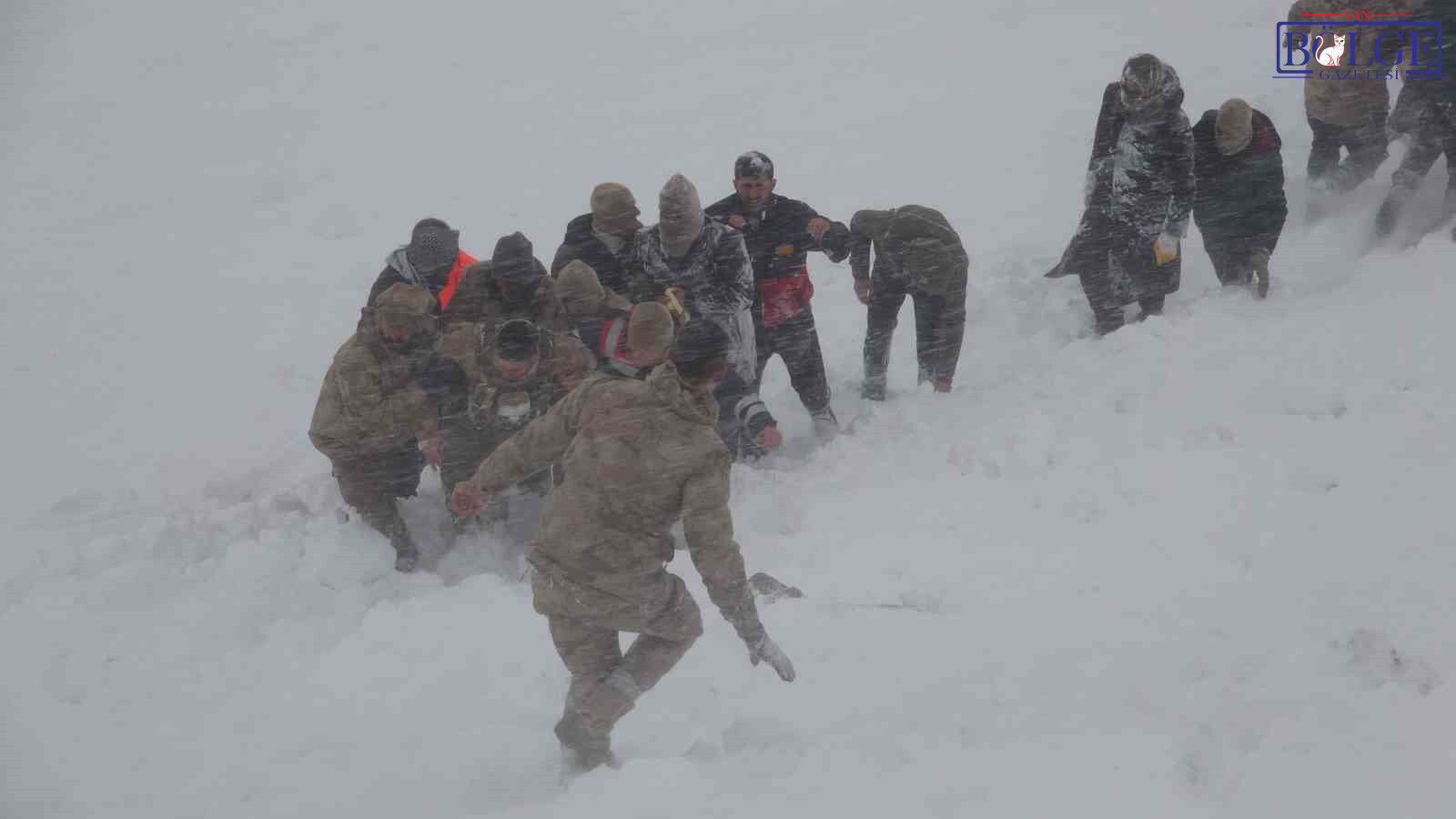20250203Aw382981 7