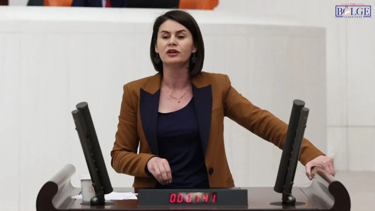 Gulcan Kacmaz Van Vekil
