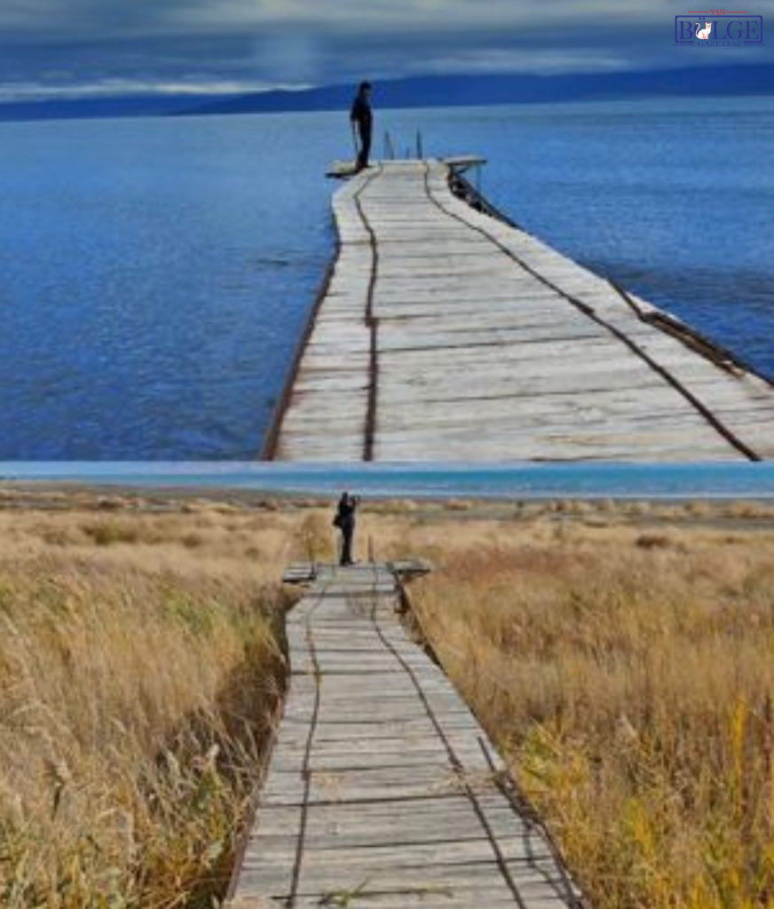 Whatsapp Image 2026 02 01 At 12.34.38