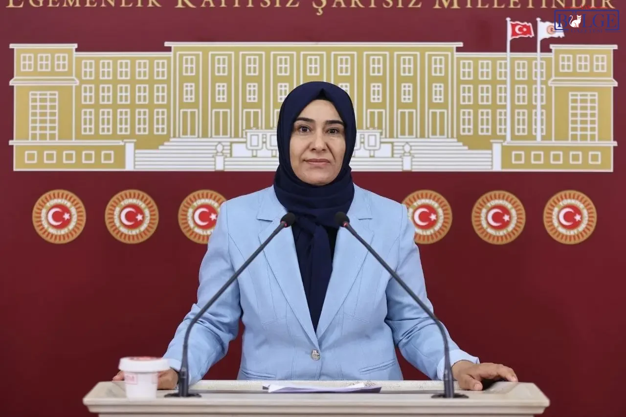 Van'da Kadın Cinayetlerinin Korkutucu Artışı: Nedenler Neler? - Görsel 1