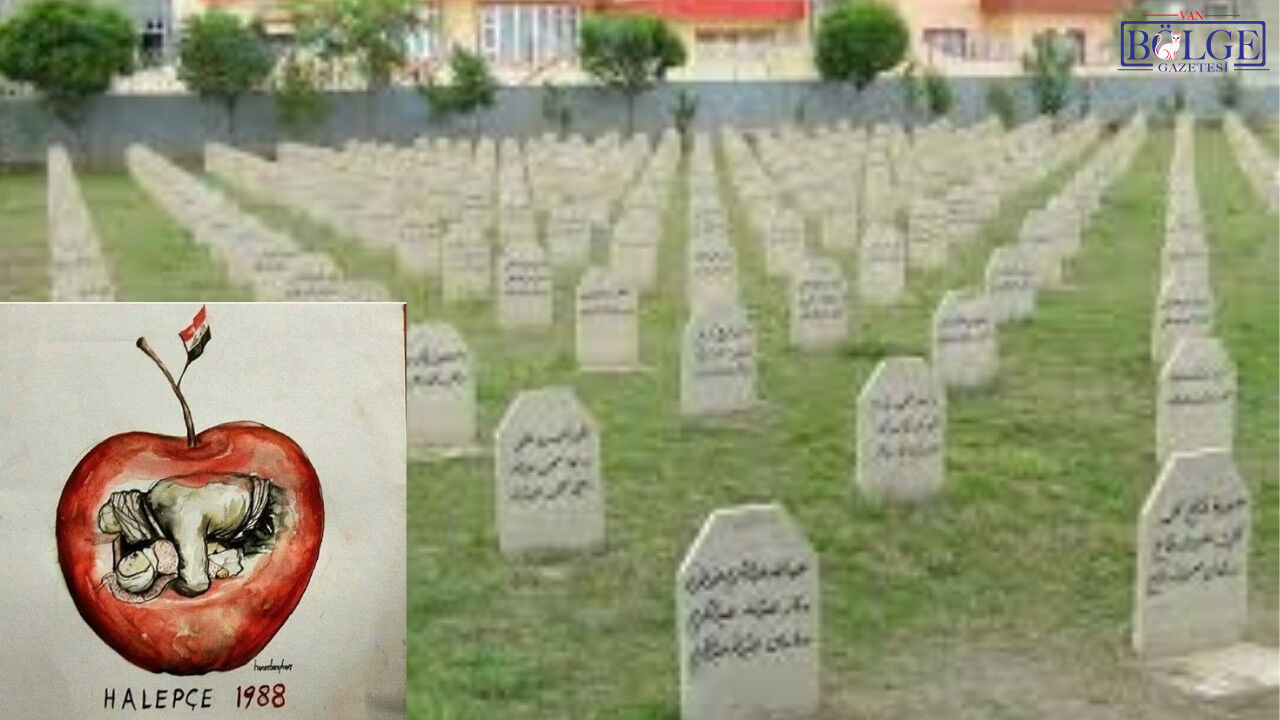 Adsız Tasarım (3)-17