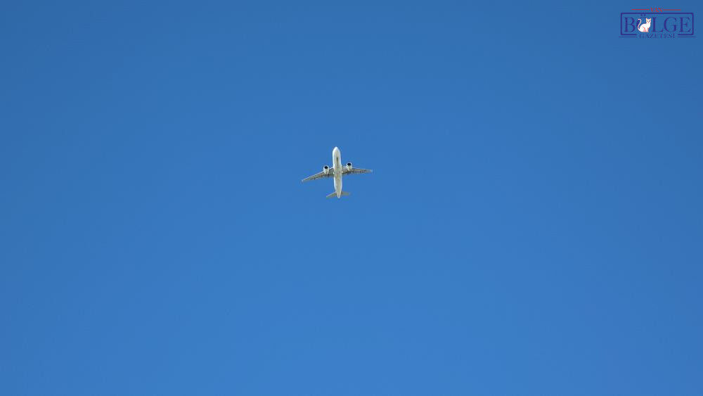 A W715159 02