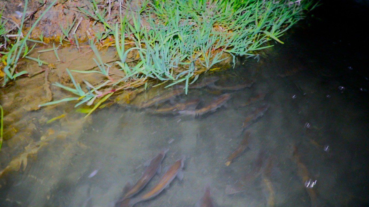 Whatsapp Image 2026 05 08 At 14.19.39