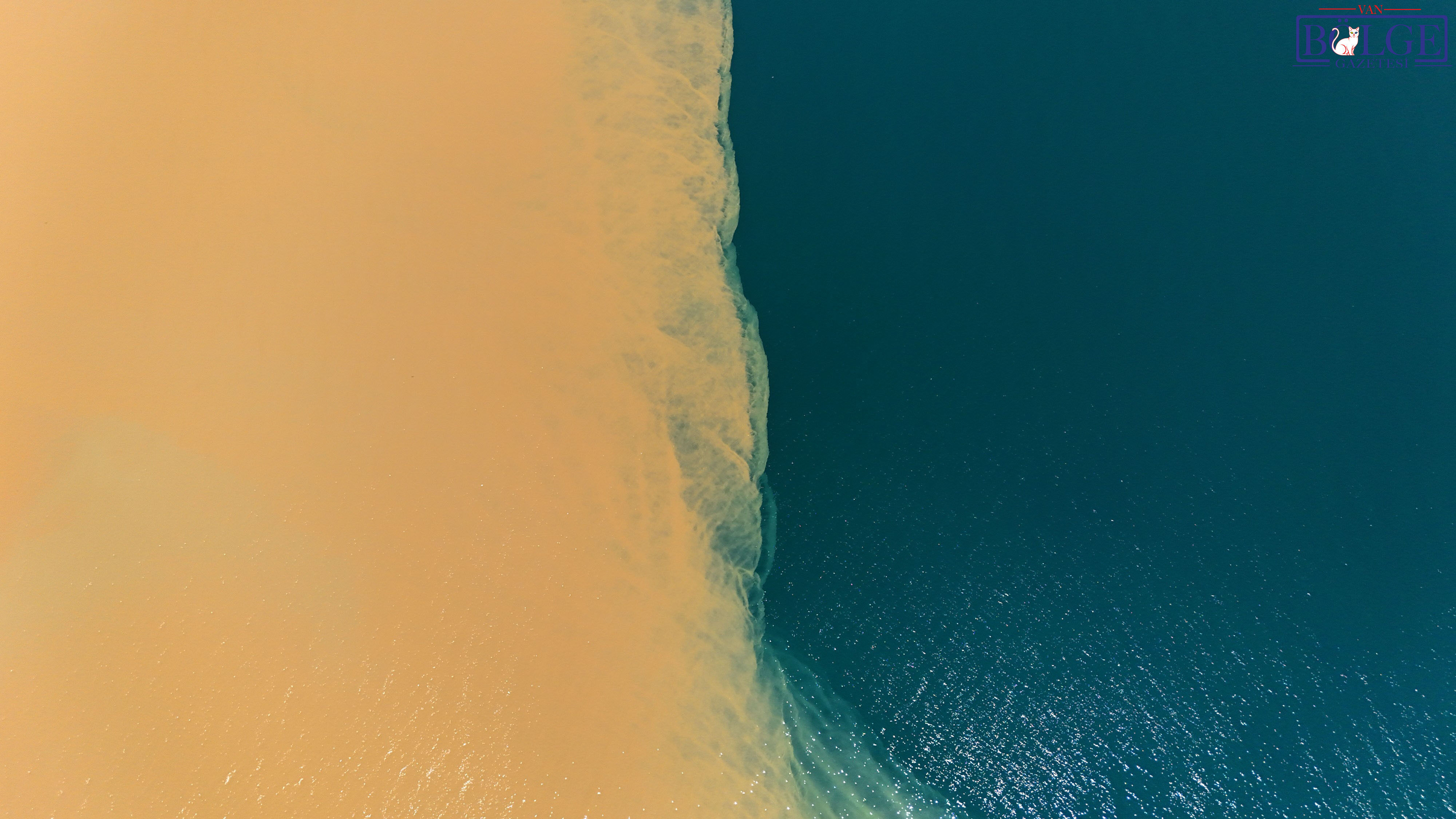 A W735448 01