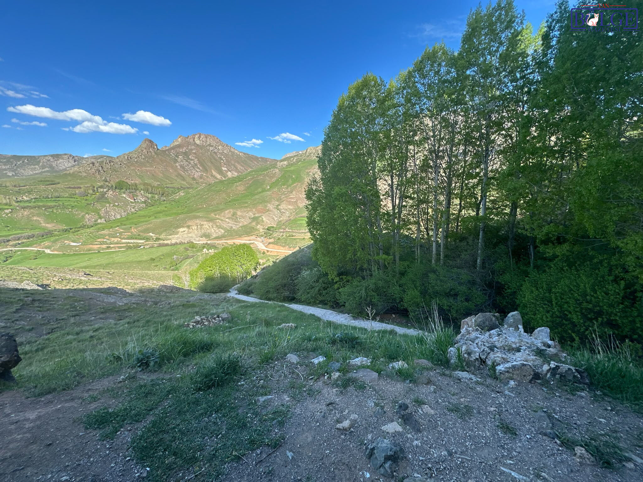 E0192167 319E 4C83 917A Ab38Bf444801