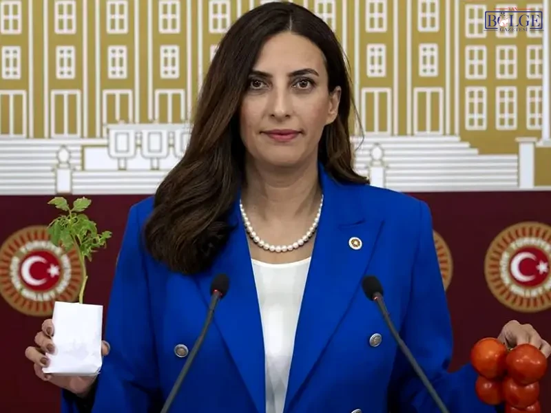Evrim Rizvanoglu