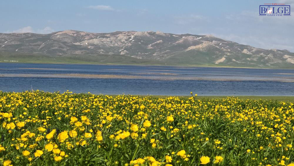 Keşiş Gölü1