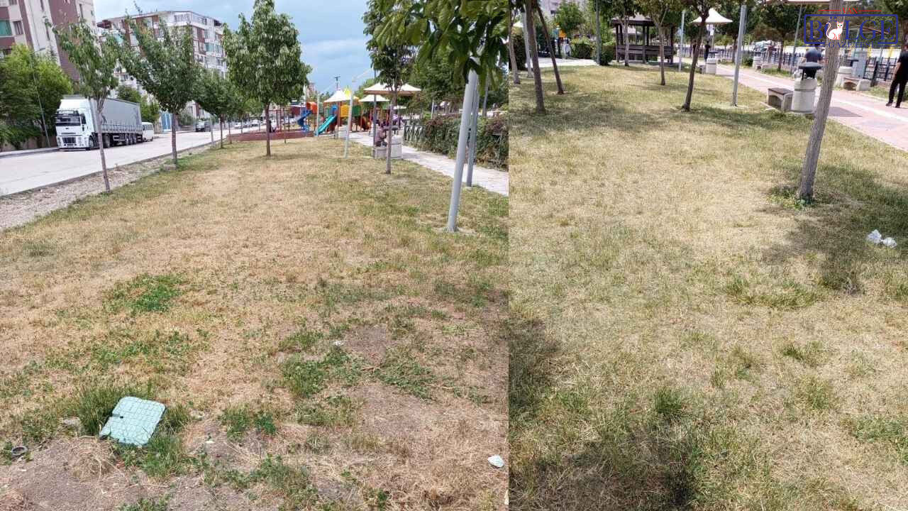 Paragraf Metniniz (16)