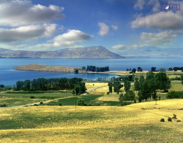 Van Golu Kamp Alani 696X544