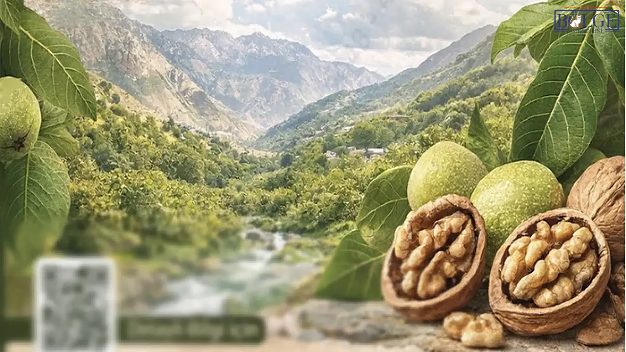 Bahcesaray Ulusal Katilimli 5 1778674797 J6Hdy D