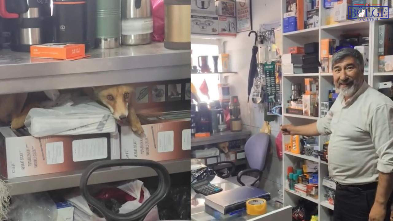 Van’ın İpekyolu Ilçesi Şerefiye Mahallesi’nde Bulunan Garipler Mezarlığı Ve Kurubaş Mezarlığı’ndaki Bakımsızlık Yurttaşların Tepkisine Neden Oldu. Mezarlık Alanlarında Uzayan Yabani Otlar Ve Temiz (4)