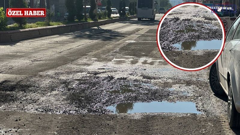 Van Erciş’in Yolları Alarm Veriyor: Çukurdan Çık, Sanayiye Gir!