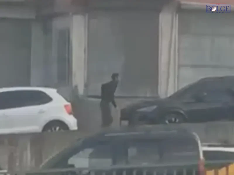 I M G 3099