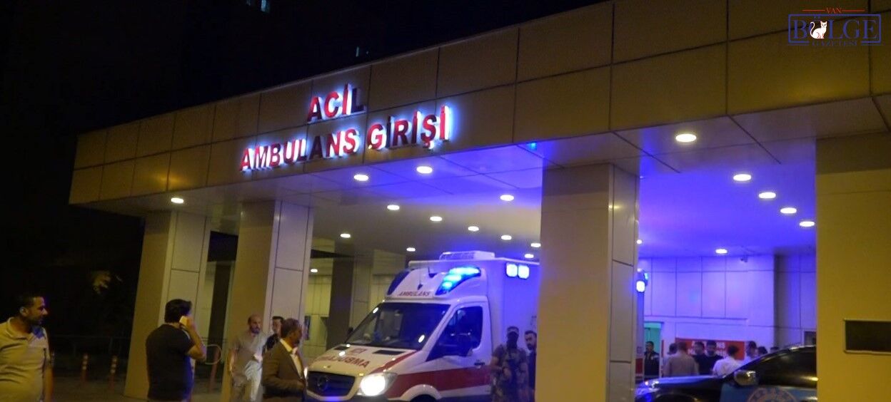 Kaza Van2