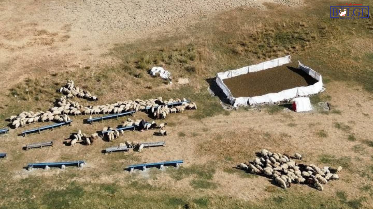 Kent Vizyon Bekliyor Şef; ‘Çiçek Bahçesindeki Dikeni De Görmeli’! (13)-1