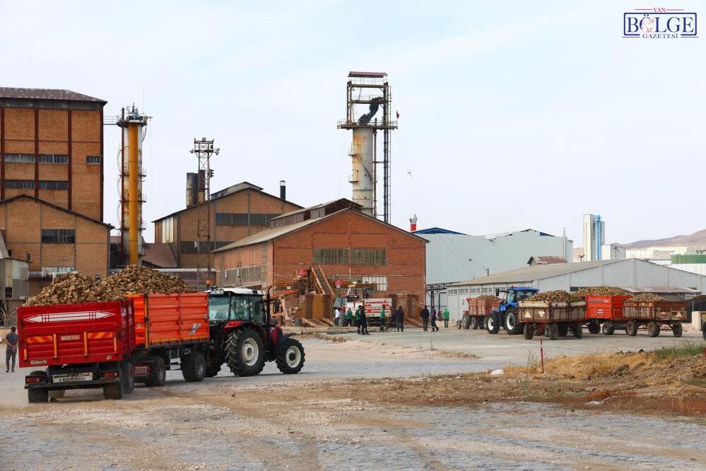 Pancar Fabrikası