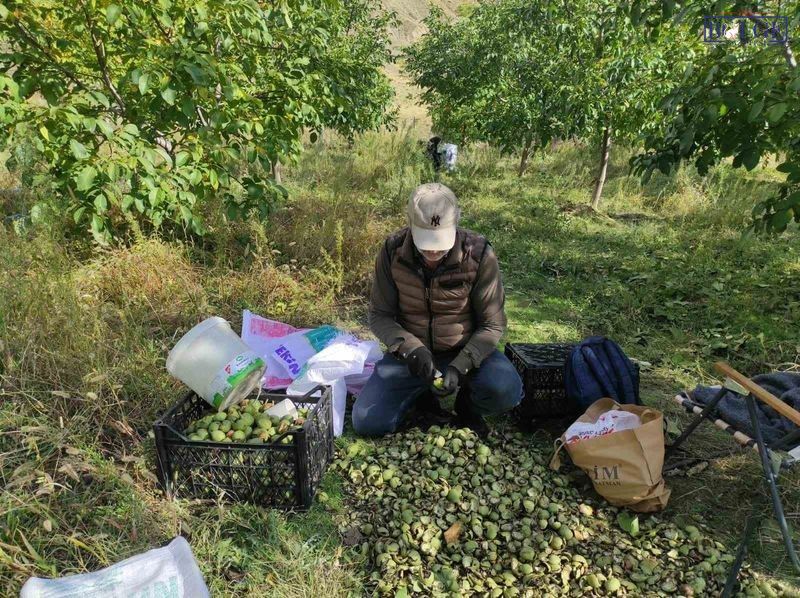 Bahçesaray Bal Ve Ceviz (11)