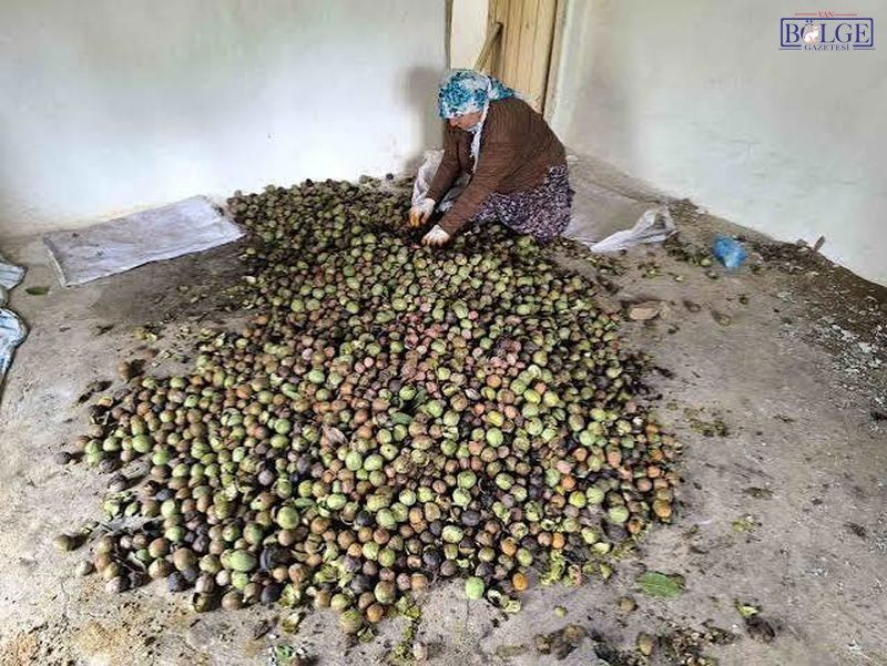 Bahçesaray Bal Ve Ceviz (5)