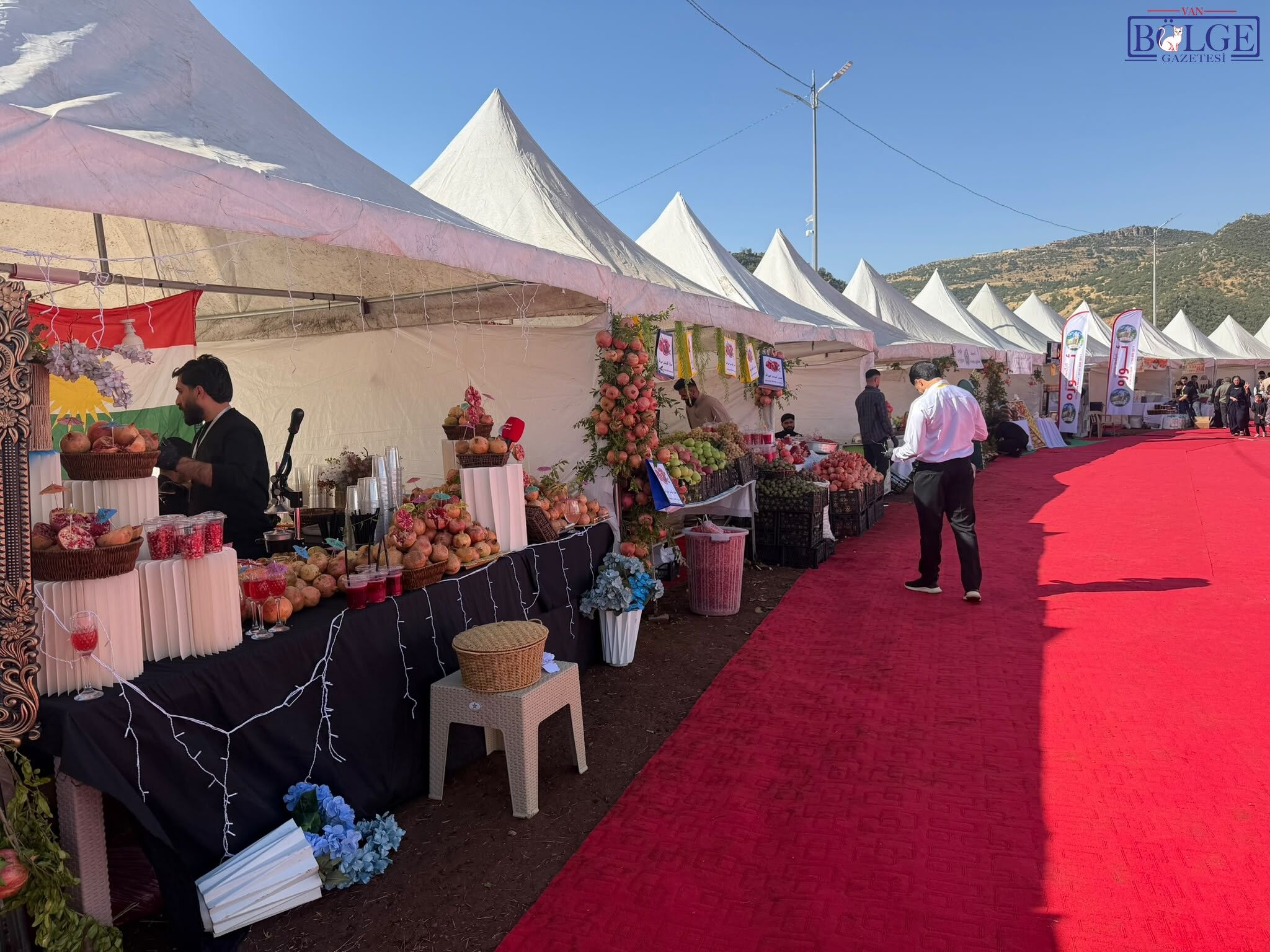 Bal Nar Meyve Festival