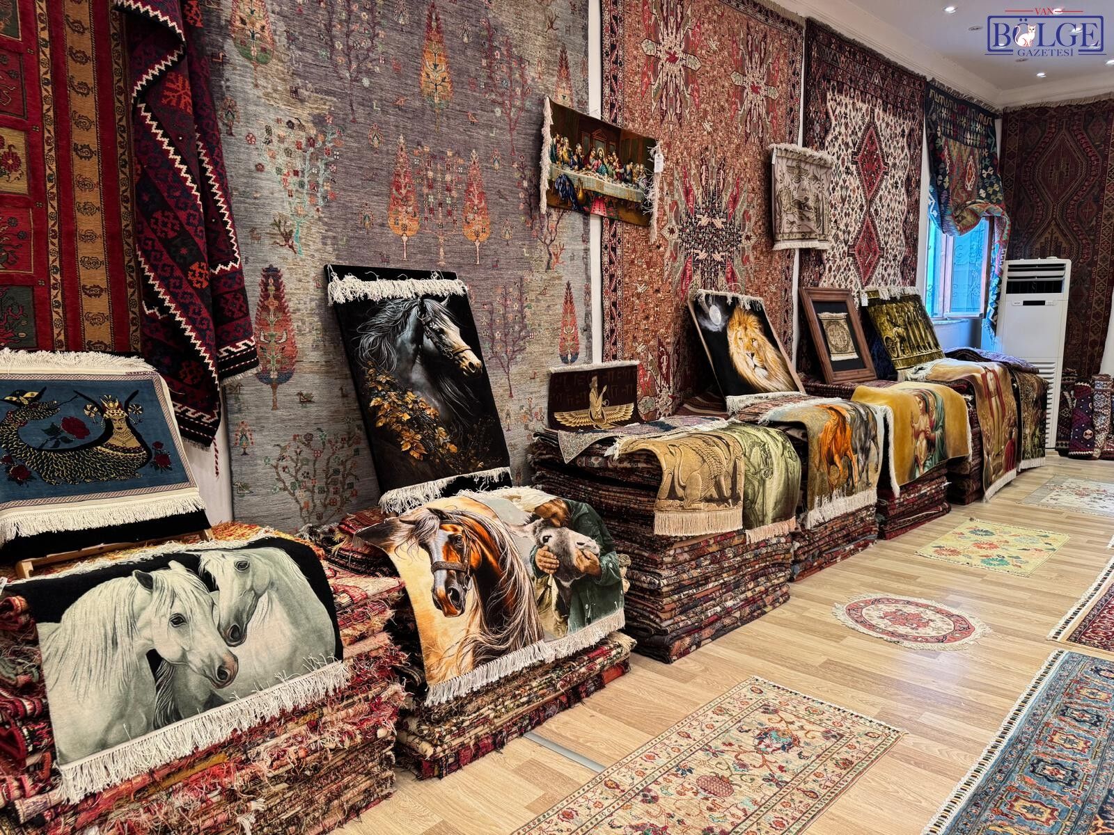 Kilim Van24