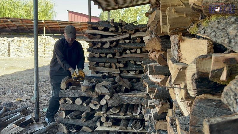 Kömür Odun (7) 800X450