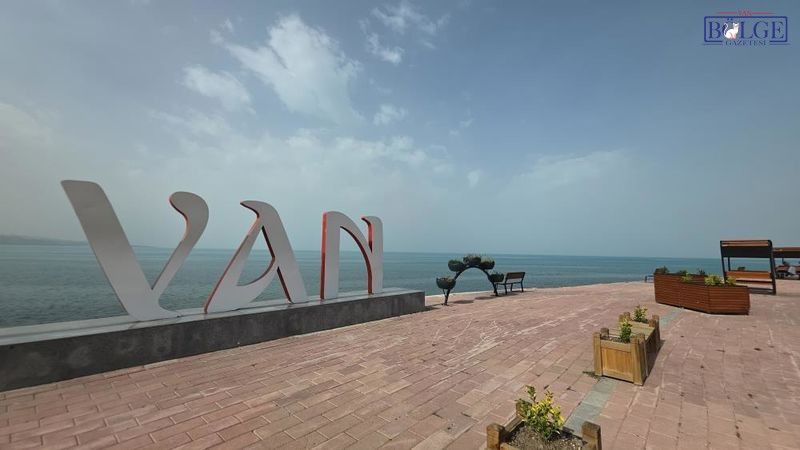 Van (1) 800X450