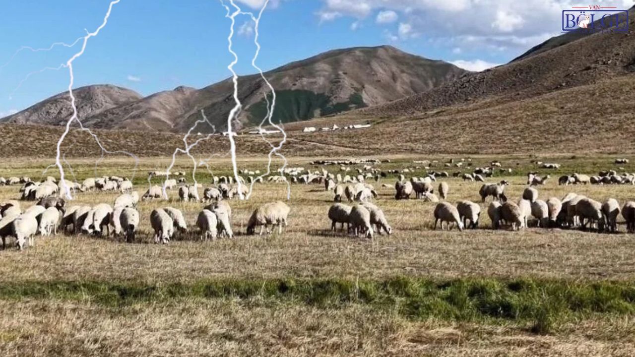 Van’da hayvan otlatırken yıldırım çarpan 14 yaşındaki çocuk hayatını kaybetti