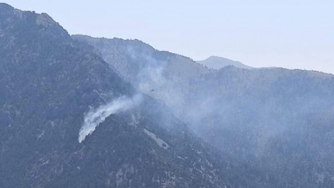 Kahramanmaraş'ta yangın söndürme uçağı düştü