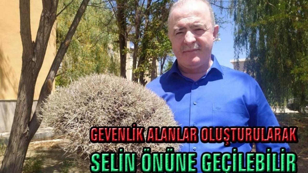 Sel felaketlerinin önüne geçmek için ‘geven’ önerisi…