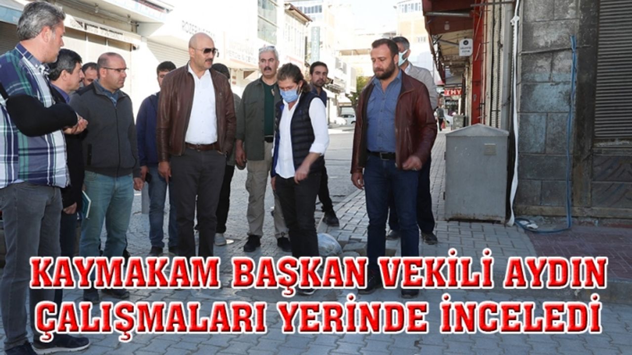Başkan Vekili Aydın, çalışmaları yerinde inceledi