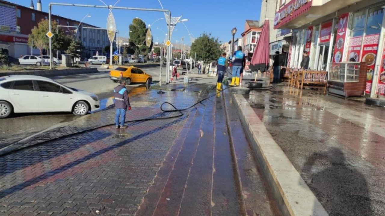 Çaldıran'da ana yolları sabunlu suyla yıkandı