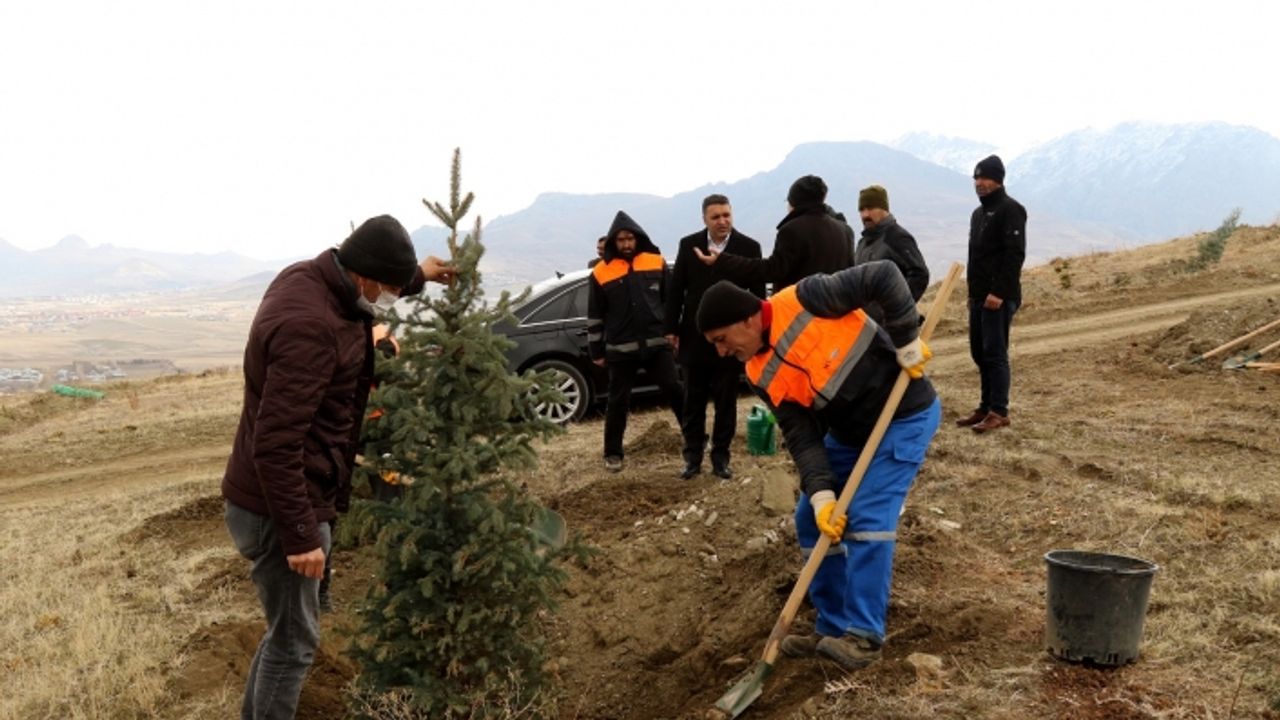 1 yılda 30 bin fidan toprakla buluştu