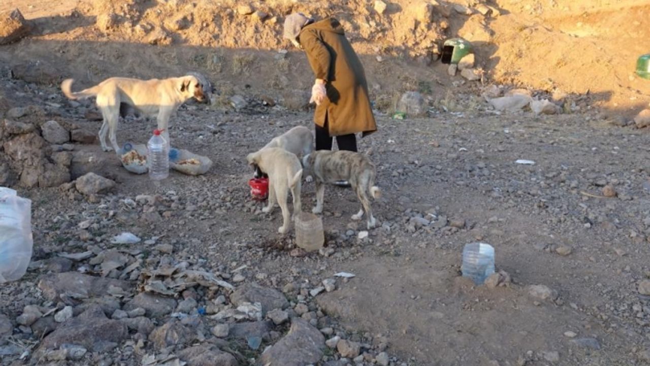 Can dostlar 2 çocuk annesi Şükran’a emanet