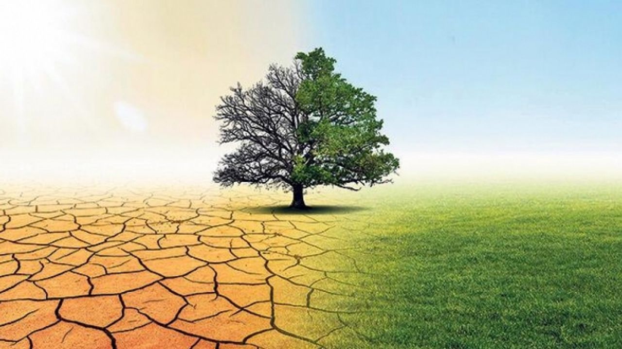Gençler iklim krizine karşı Van’da bir araya geliyor