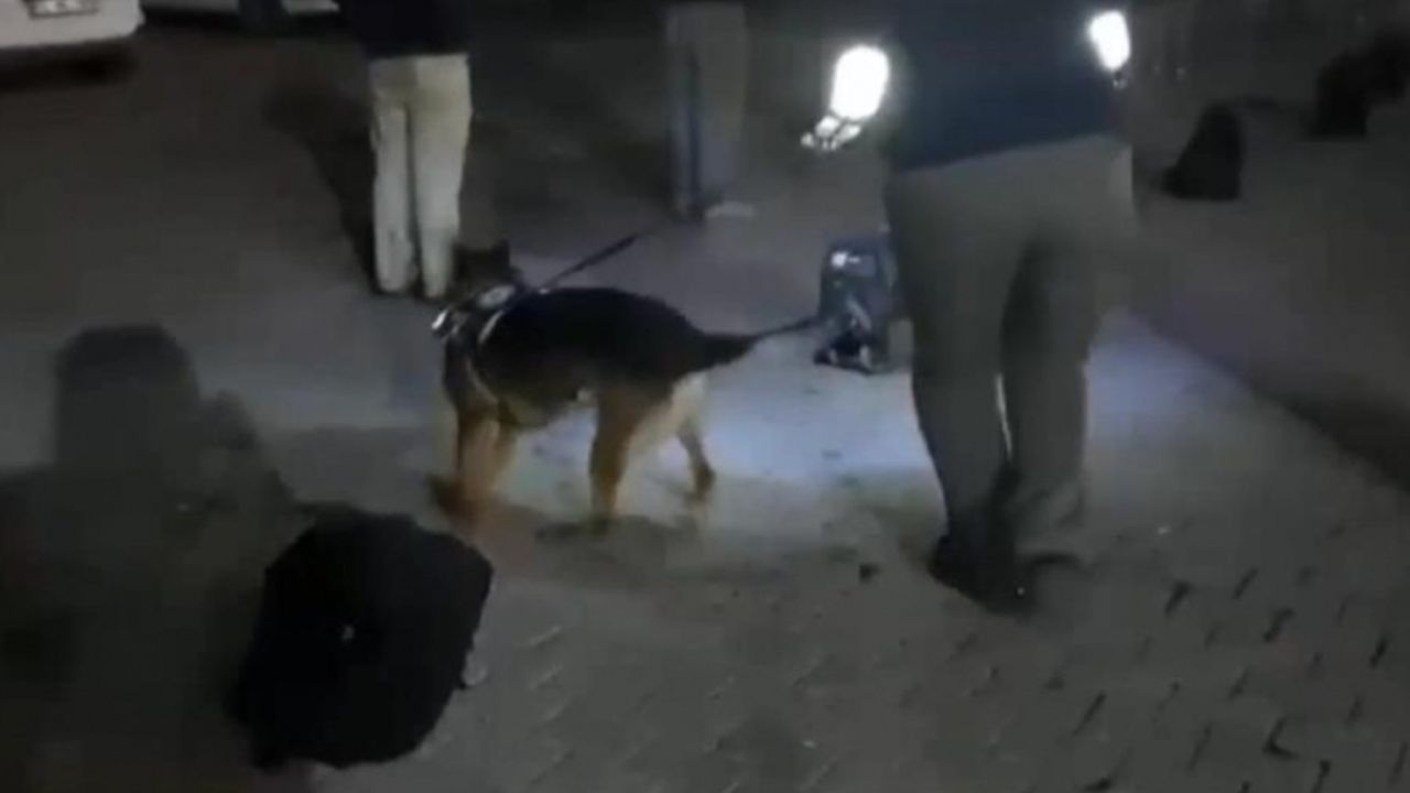 Tuşba'da 51 düzensiz göçmen yakalandı