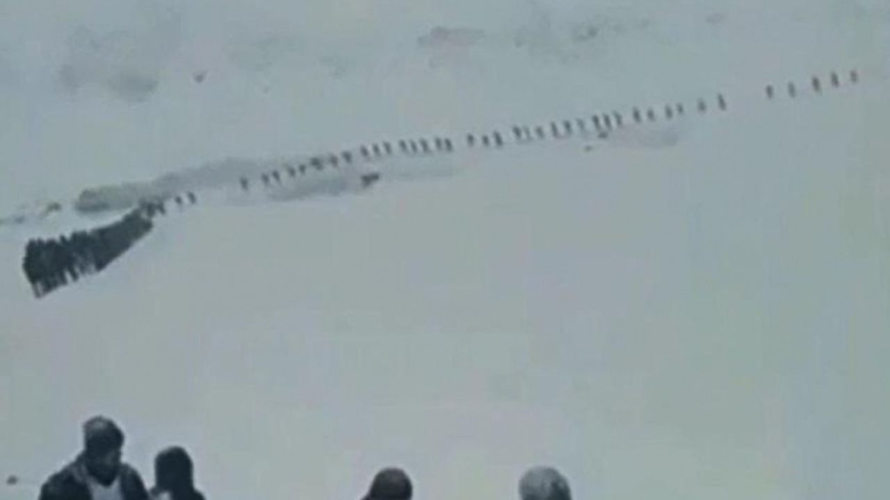 Van Valiliği'nden o görüntülülere açıklama