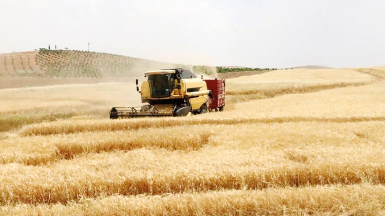 Vanlı çiftçilere 92,2 milyon TL ödeme…