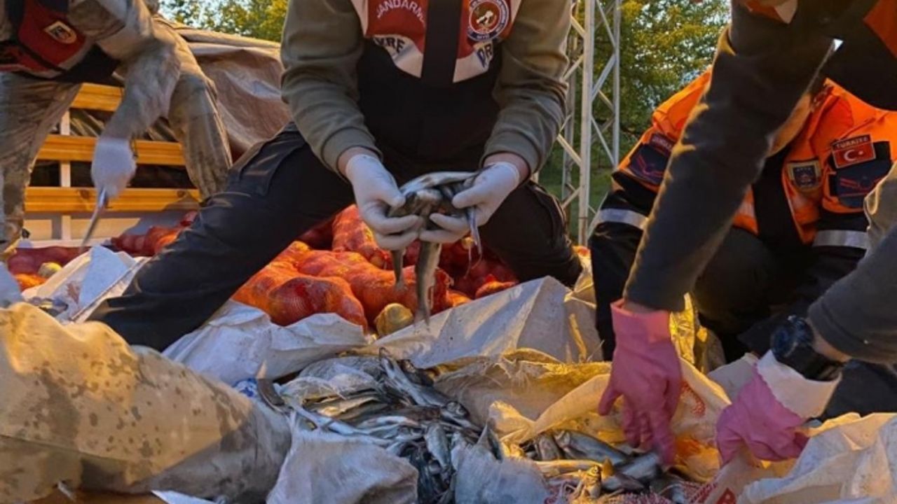 11 ton kaçak avlanmış balık ele geçirildi